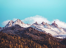 未来可期，山东男篮官方：王证，赵浩然，马延东三人升入一队